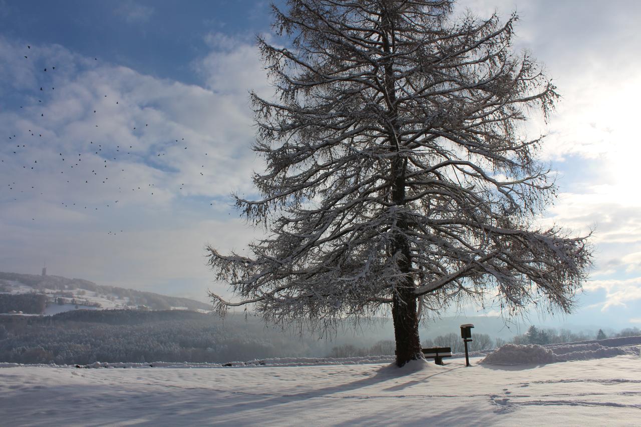 Cret-Berard Otel Puidoux Dış mekan fotoğraf